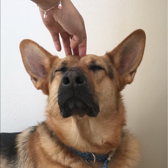 About Wildernessmags! ππ§‘π - Picture 1 of 5